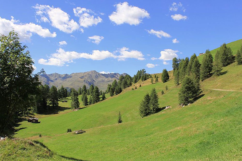 Vacanze in Val Casies Alto Adige ›