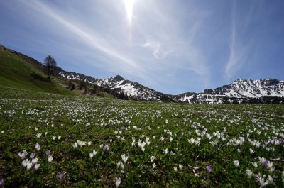 Beschauliches Landleben auf dem Unterhabererhof